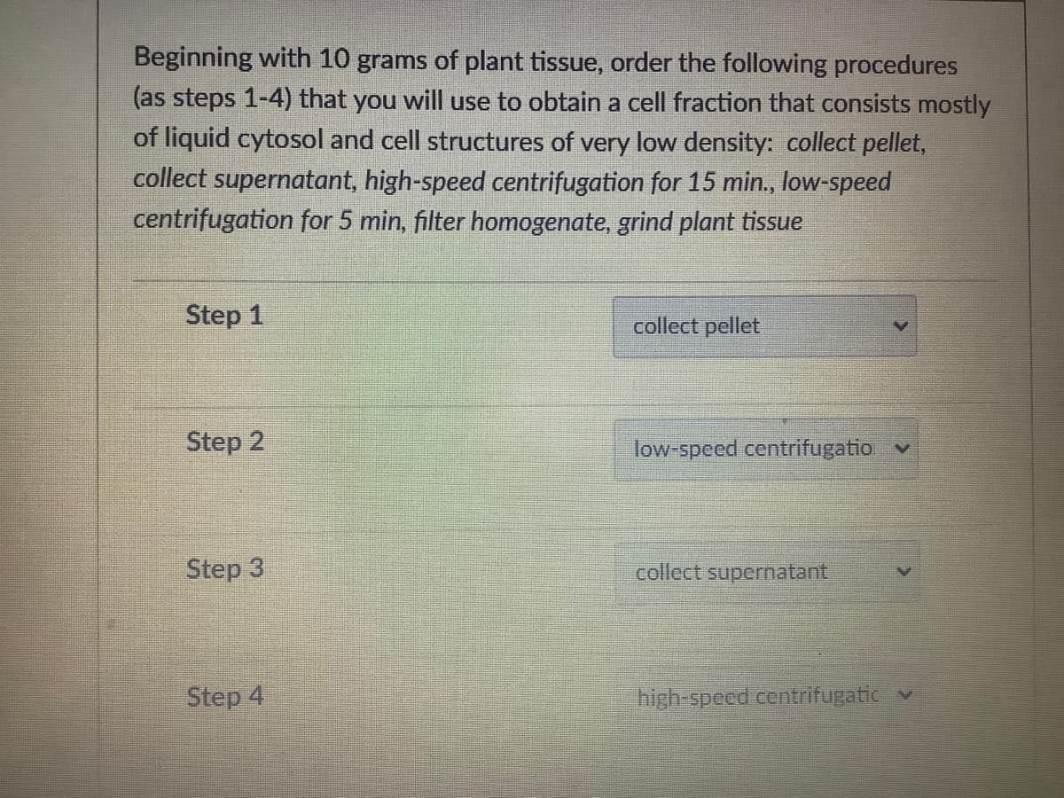 Beginning with 10 grams of plant tissue, order the following procedures
(as steps 1-4) that you will use to obtain a cell fraction that consists mostly
of liquid cytosol and cell structures of very low density: collect pellet,
collect supernatant, high-speed centrifugation for 15 min., low-speed
centrifugation for 5 min, filter homogenate, grind plant tissue
Step 1
collect pellet
Step 2
low-speed centrifugatio
Step 3
collect supernatant
Step 4
high-speed centrifugatic v
