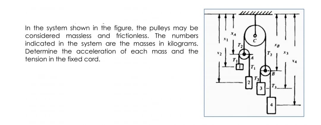 In the system shown in the figure, the pulleys may be
considered massless and frictionless. The numbers
indicated in the system are the masses in kilograms.
Determine the acceleration of each mass and the
tension in the fixed cord.
B
T3
