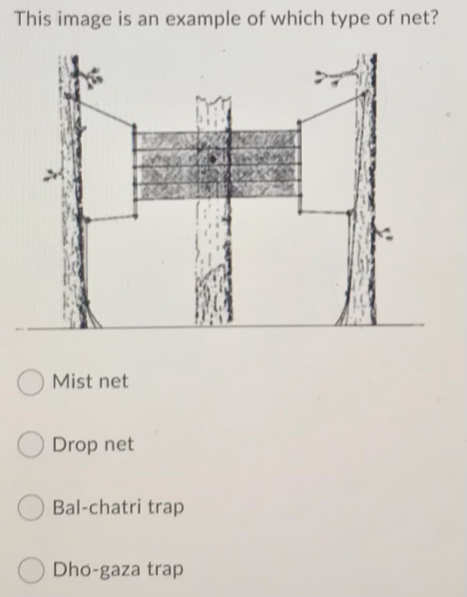 This jmage is an exjmple of which type of net?
Mist net
Drop net
Bal-chatri trap
Dho-gaza trap
