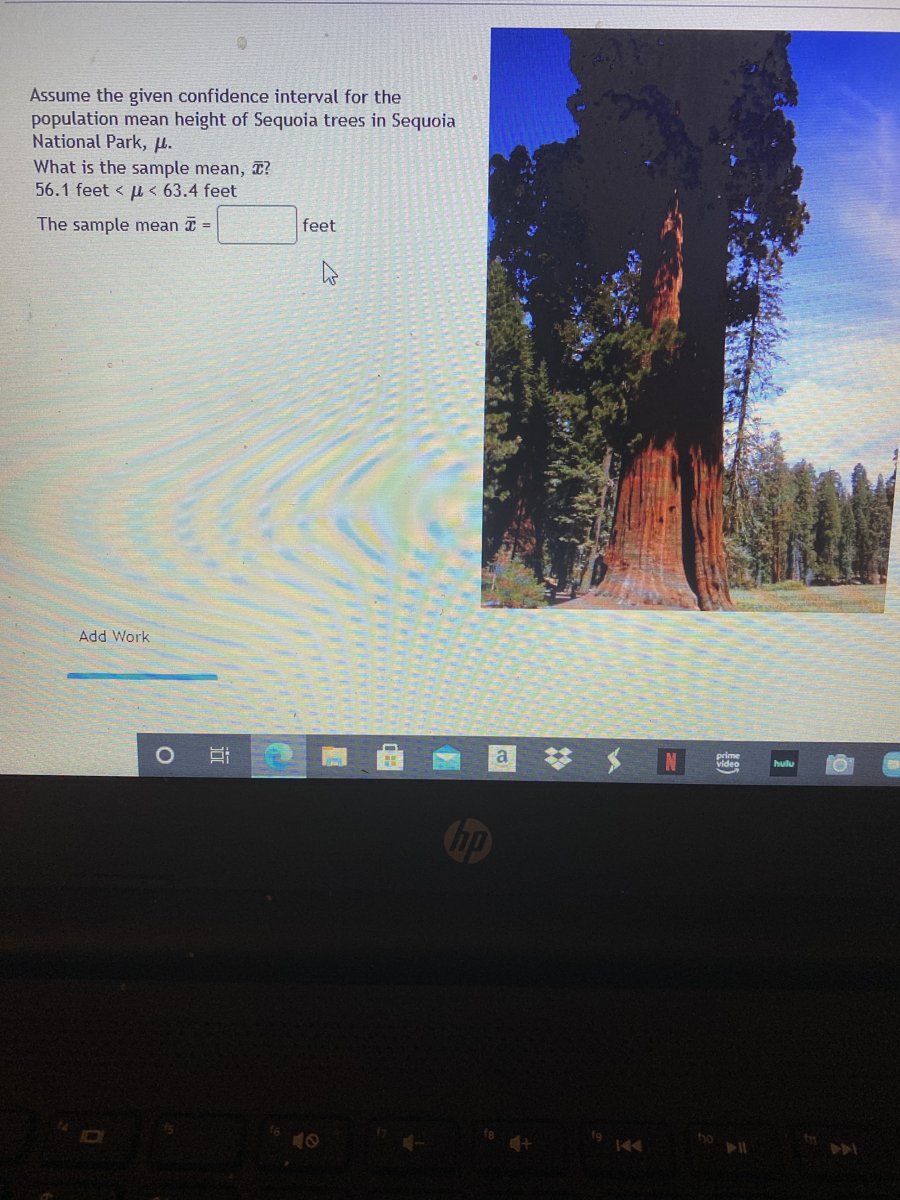 Assume the given confidence interval for the
population mean height of Sequoia trees in Sequoia
National Park, .
What is the sample mean, T?
56.1 feet < u < 63.4 feet
