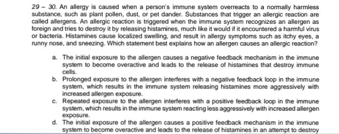 29 - 30. An allergy is caused when a person's immune system overreacts to a normally harmless
substance, such as plant pollen, dust, or pet dander. Substances that trigger an allergic reaction are
called allergens. An allergic reaction is triggered when the immune system recognizes an allergen as
foreign and tries to destroy it by releasing histamines, much like it would if it encountered a harmful virus
or bacteria. Histamines cause localized swelling, and result in allergy symptoms such as itchy eyes, a
runny nose, and sneezing. Which statement best explains how an allergen causes an allergic reaction?
a. The initial exposure to the allergen causes a negative feedback mechanism in the immune
system to become overactive and leads to the release of histamines that destroy immune
cells.
b. Prolonged exposure to the allergen interferes with a negative feedback loop in the immune
system, which results in the immune system releasing histamines more aggressively with
increased allergen exposure.
c. Repeated exposure to the allergen interferes with a positive feedback loop in the immune
system, which results in the immune system reacting less aggressively with increased allergen
exposure.
d. The initial exposure of the allergen causes a positive feedback mechanism in the immune
system to become overactive and leads to the release of histamines in an attempt to destroy
