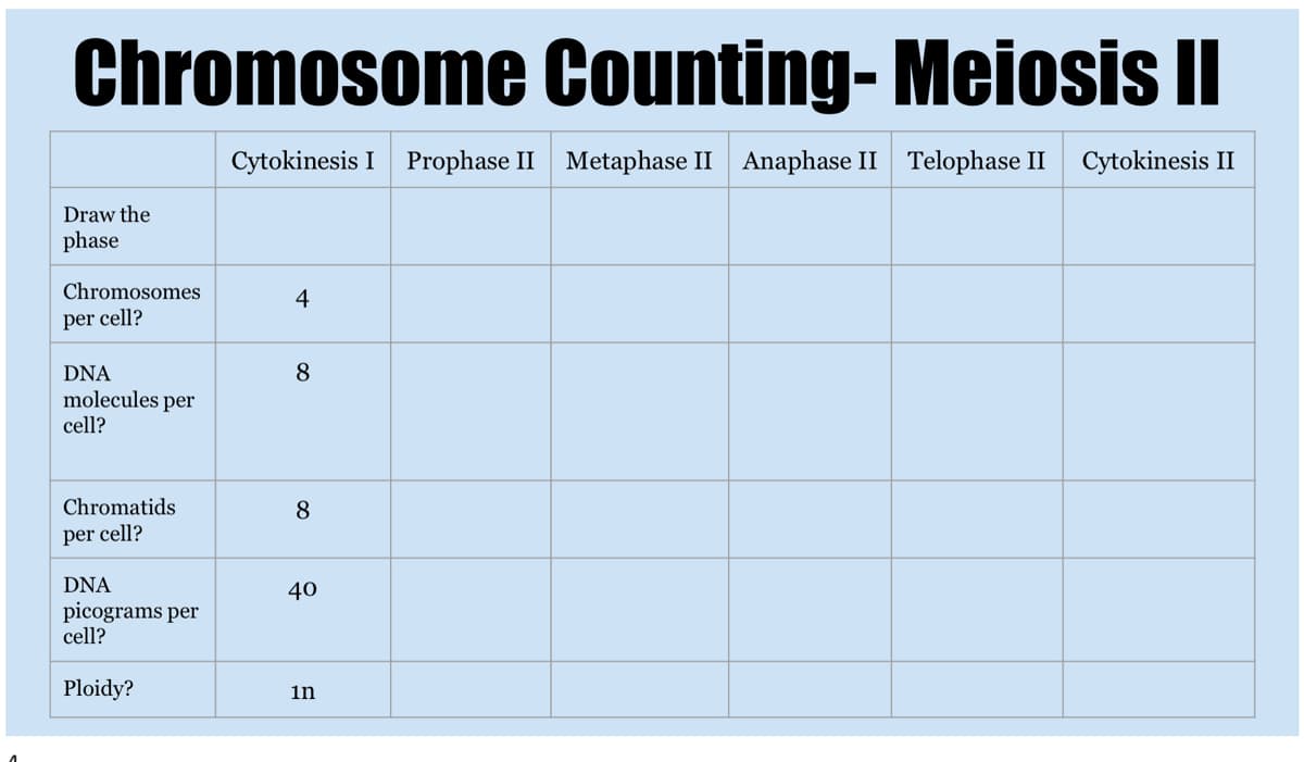 Chromosome Counting- Meiosis I
Cytokinesis I Prophase II Metaphase II
Anaphase II Telophase II
Cytokinesis II
Draw the
phase
Chromosomes
4
per cell?
DNA
8
molecules per
cell?
Chromatids
8
per cell?
DNA
40
picograms per
cell?
Ploidy?
in
