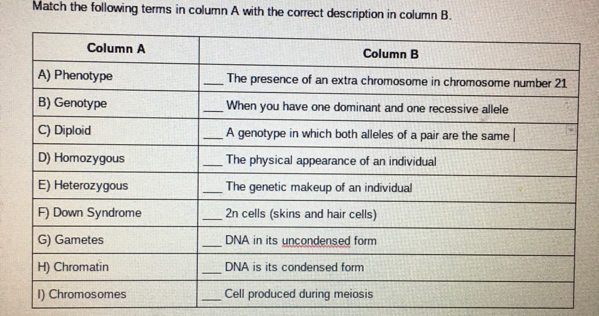 Match the following terms in column A with the correct description in column B.
Column A
Column B
A) Phenotype
The
presence of an extra chromosome in chromosome number 21
B) Genotype
When
you
have one dominant and one recessive allele
C) Diploid
A genotype in which both alleles of a pair are the same |
D) Homozygous
The physical appearance of an individual
E) Heterozygous
The genetic makeup of an individual
F) Down Syndrome
2n cells (skins and hair cells)
G) Gametes
DNA in its uncondensed form
H) Chromatin
DNA is its condensed form
I) Chromosomes
Cell produced during meiosis
