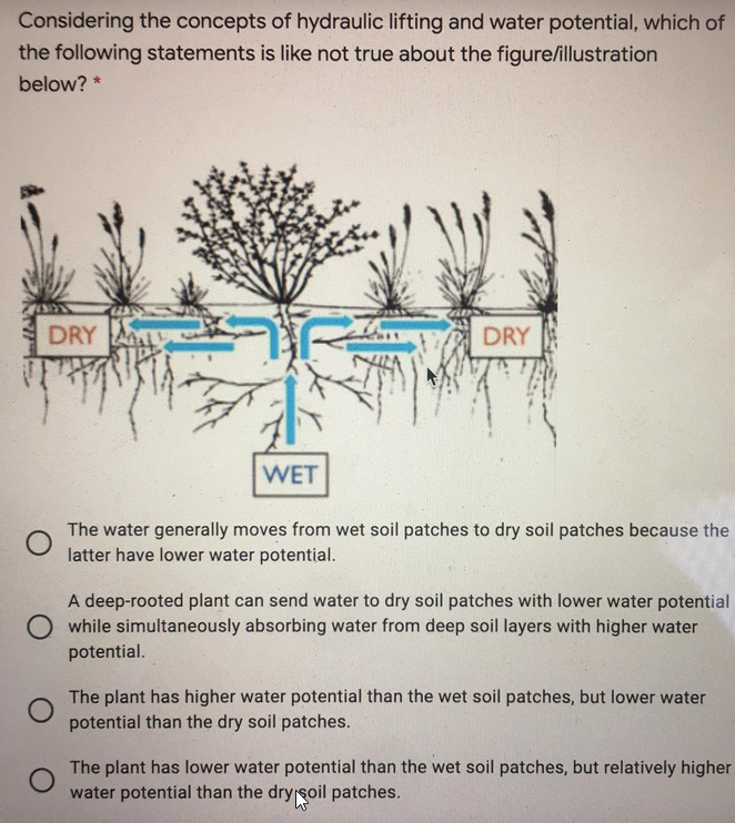 Considering the concepts of hydraulic lifting and water potential, which of
the following statements is like not true about the figure/illustration
below? *
DRY
DRY
WET
The water generally moves from wet soil patches to dry soil patches because the
latter have lower water potential.
A deep-rooted plant can send water to dry soil patches with lower water potential
O while simultaneously absorbing water from deep soil layers with higher water
potential.
The plant has higher water potential than the wet soil patches, but lower water
potential than the dry soil patches.
The plant has lower water potential than the wet soil patches, but relatively higher
water potential than the dry soil patches.
