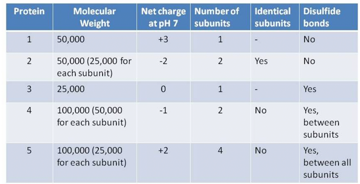 Net charge Number of Identical Disulfide
subunits
Protein
Molecular
Weight
at pH 7
subunits bonds
1
50,000
+3
1
No
50,000 (25,000 for
each subunit)
2
-2
2
Yes
No
25,000
Yes
100,000 (50,000
for each subunit)
4
-1
2
No
Yes,
between
subunits
100,000 (25,000
for each subunit)
5
+2
4
No
Yes,
between all
subunits

