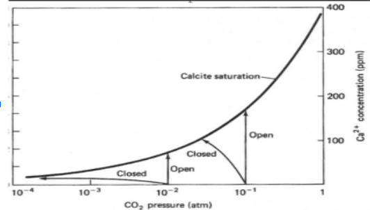 10-4
10-3
Closed
Calcite saturation-
Closed
Open
10-2
CO₂ pressure (atm)
Open
10-1
400
300
200
100
Ca2+ concentration (ppm)