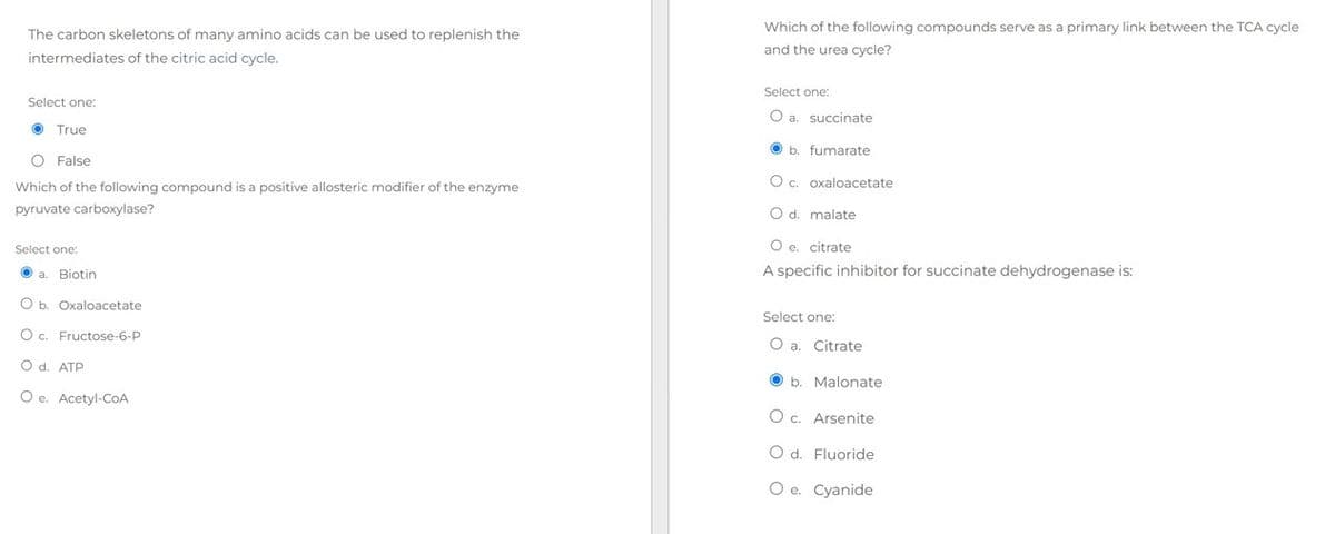 The carbon skeletons of many amino acids can be used to replenish the
intermediates of the citric acid cycle.
Select one:
True
O False
Which of the following compound is a positive allosteric modifier of the enzyme
pyruvate carboxylase?
Select one:
a. Biotin
O b. Oxaloacetate
O c. Fructose-6-P
O d. ATP
Oe. Acetyl-CoA
Which of the following compounds serve as a primary link between the TCA cycle
and the urea cycle?
Select one:
O a. succinate
b. fumarate
O c. oxaloacetate
O d. malate
O e. citrate
A specific inhibitor for succinate dehydrogenase is:
Select one:
O a. Citrate
b Malonate
O c. Arsenite
O d. Fluoride
O e. Cyanide