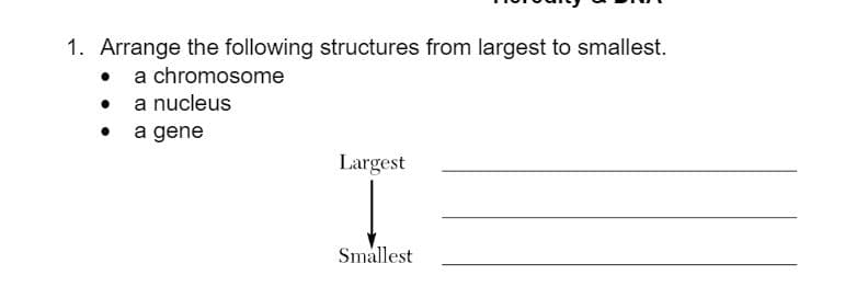 1. Arrange the following structures from largest to smallest.
• a chromosome
• a nucleus
• a gene
Largest
Smallest
