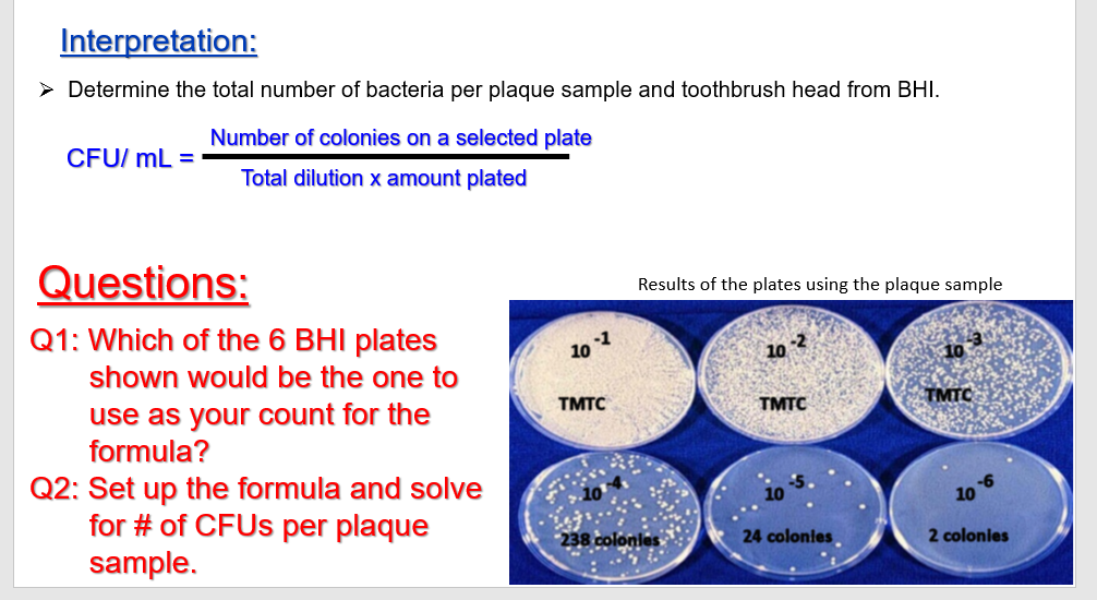 Interpretation:
> Determine the total number of bacteria per plaque sample and toothbrush head from BHI.
Number of colonies on a selected plate
CFU/ mL =
Total dilution x amount plated
Questions:
Results of the plates using the plaque sample
Q1: Which of the 6 BHI plates
-1
10
10 2
shown would be the one to
use as your count for the
formula?
TMTC
TMTC
TMTC
Q2: Set up the formula and solve
for # of CFUS per plaque
sample.
10
238 colonies
24 colonles
2 colonies
