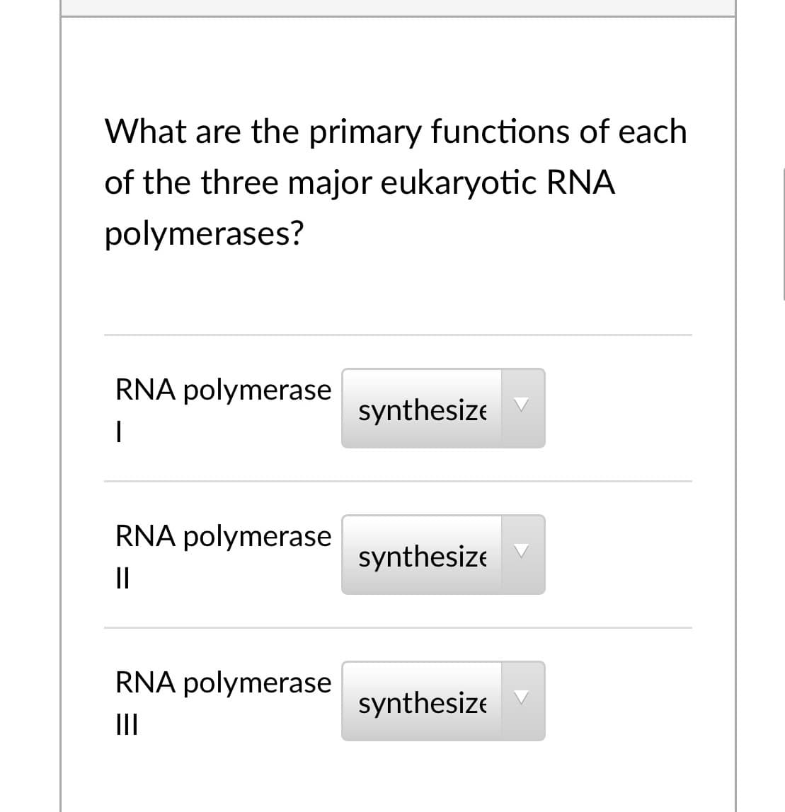 What are the primary functions of each
of the three major eukaryotic RNA
polymerases?
RNA polymerase
synthesize
RNA polymerase
synthesize
II
RNA polymerase
synthesize
II
