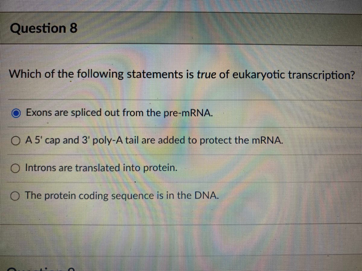 Question 8
Which of the following statements is true of eukaryotic transcription?
Exons are spliced out from the pre-MRNA.
O A 5' cap and 3' poly-A tail are added to protect the mRNA.
O Introns are translated into protein.
O The protein coding sequence is in the DNA.
