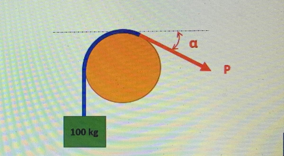a.
P.
100 kg
