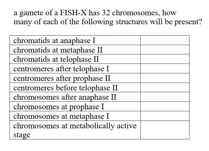 a gamete of a FISH-X has 32 chromosomes, how
many of each of the following structures will be present?
chromatids at anaphase I
chromatids at metaphase II
chromatids at telophase II
centromeres after telophase I
centromeres after prophase II
centromeres before telophase II
chromosomes after anaphase II
chromosomes at prophase I
chromosomes at metaphase I
chromosomes at metabolically active
stage
