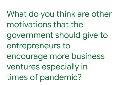 What do you think are other
motivations that the
government should give to
entrepreneurs to
encourage more business
ventures especially in
times of pandemic?
