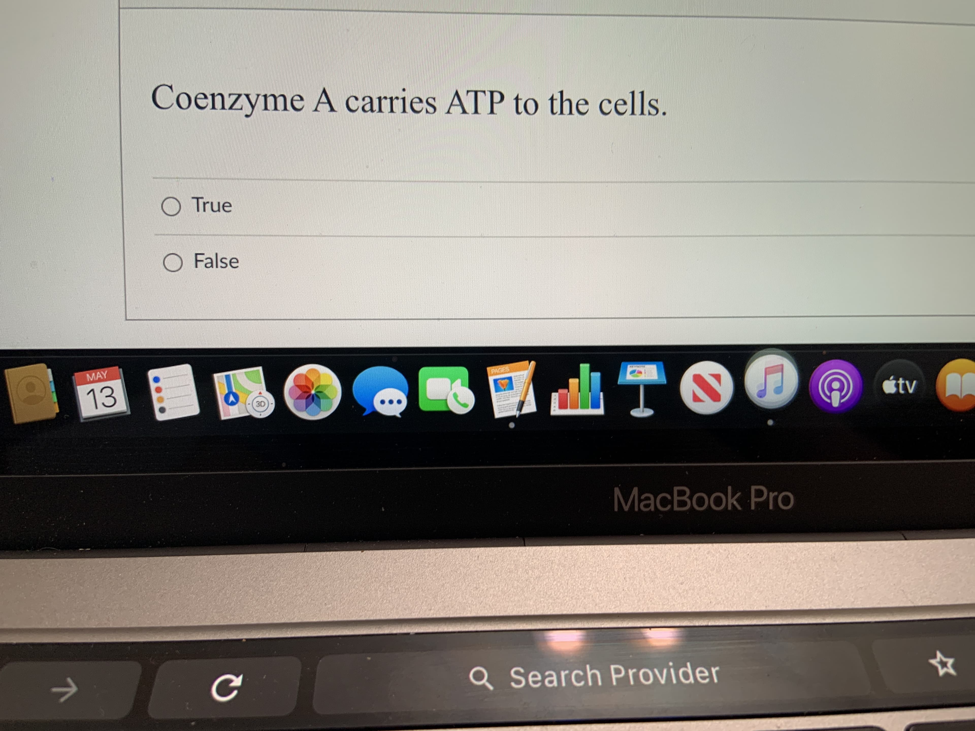 Coenzyme A carries ATP to the cells.
