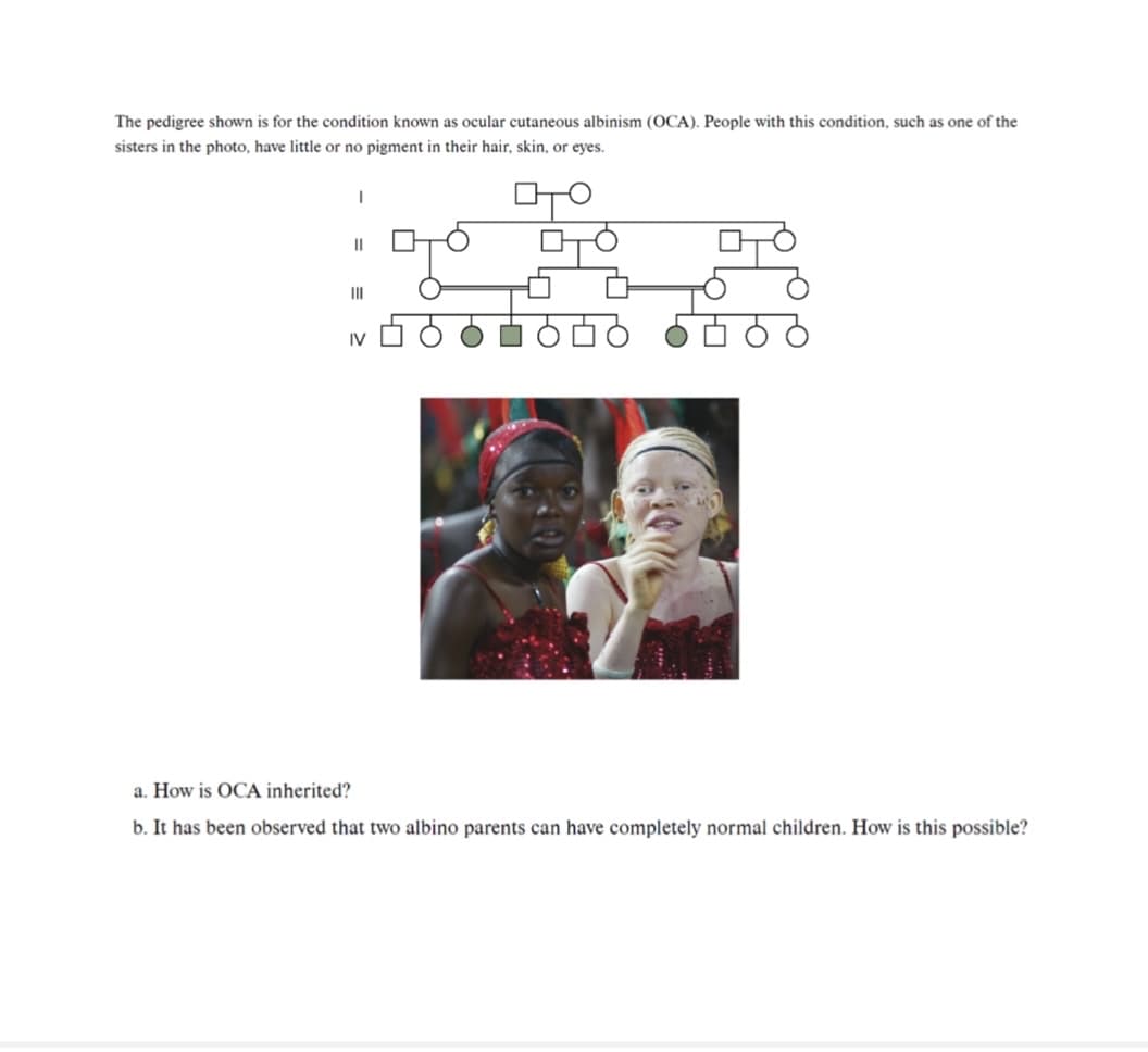The pedigree shown is for the condition known as ocular cutaneous albinism (OCA). People with this condition, such as one of the
sisters in the photo, have little or no pigment in their hair, skin, or eyes.
ото
I
||
|||
IV
a. How is OCA inherited?
b. It has been observed that two albino parents can have completely normal children. How is this possible?