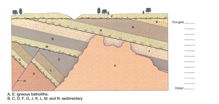 Youngest
K
N.
E
H.
Oldest
A, E: igneous batholiths;
B, C, D, F, G, J, K, L, M, and N: sedimentary
