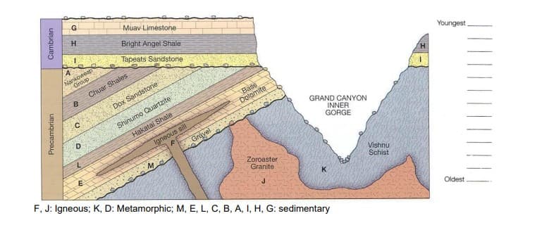Muav Limestone
H
Bright Angel Shale
Tapeats Sandstone
Nankoweap
Grdup
Chuar Shales
Youngest
Dox Sandstore
Shinumo Quartzite
Hakatai Shale
Bass
Dolomite
D.
Igneous sill
Grevel
GRAND CANYON
INNER
GORGE
F, J: Igneous; K, D: Metamorphic; M, E, L, C, B, A, I, H, G: sedimentary
Zoroaster
Granite
Vishnu
Schist
Oldest
Cambrian
Precambrian
