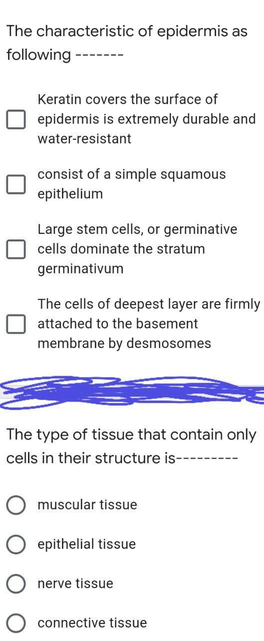 The characteristic of epidermis as
following
Keratin covers the surface of
epidermis is extremely durable and
water-resistant
consist of a simple squamous
epithelium
Large stem cells, or germinative
cells dominate the stratum
germinativum
The cells of deepest layer are firmly
attached to the basement
membrane by desmosomes
The type of tissue that contain only
cells in their structure is------
muscular tissue
epithelial tissue
nerve tissue
connective tissue