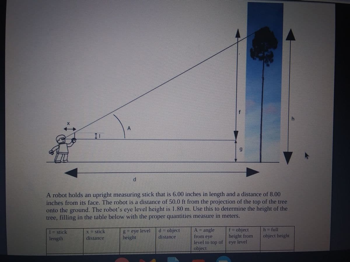6.
d.
A robot holds an upright measuring stick that is 6.00 inches in length and a distance of 8.00
inches from its face, The robot is a distance of 50.0 ft from the projection of the top of the tree
onto the ground. The robot's eye level height is 1.80 m. Use this to determine the height of the
tree, filling in the table below with the proper quantities measure in meters.
A= angle
from eye
level to top of
object
f= object
height from
eye level
h = full
x7stick
distance
8= eye level
height
d= object
distance
1=stick
object height
length

