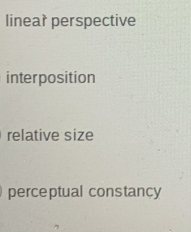 linear perspective
interposition
relative size
perceptual constancy
79
