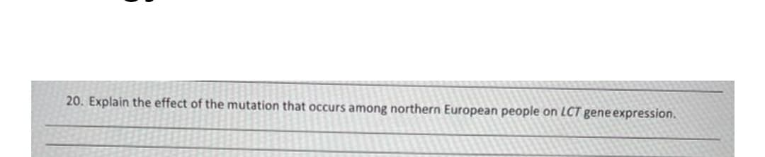 20. Explain the effect of the mutation that occurs among northern European people on LCT gene expression.
