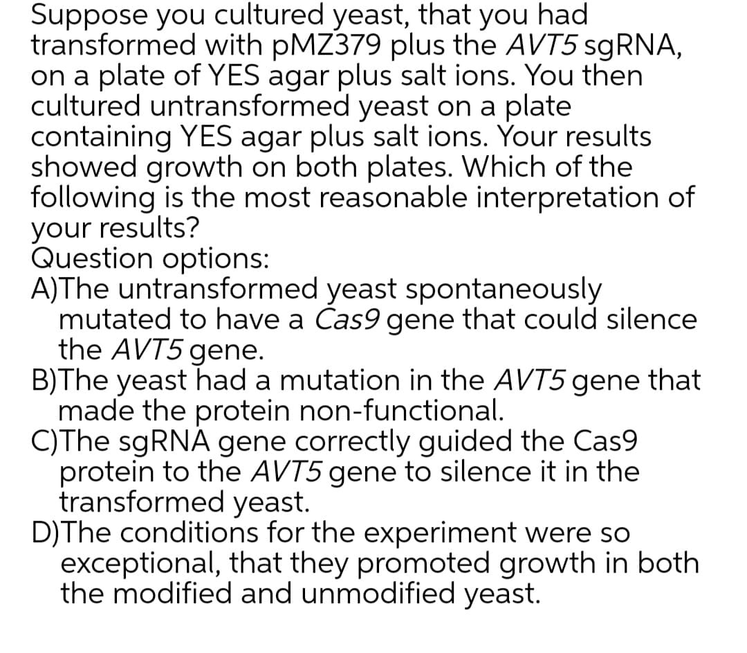 Suppose you cultured yeast, that you had
transformed with PMZ379 plus the AVT5 SGRNA,
on a plate of YES agar plus salt ions. You then
cultured untransformed yeast on a plate
containing YES agar plus salt ions. Your results
showed growth on both plates. Which of the
following is the most reasonable interpretation of
your results?
Question options:
A)The untransformed yeast spontaneously
mutated to have a Čas9 gene that could silence
the AVT5 gene.
B)The yeast had a mutation in the AVT5 gene that
made the protein non-functional.
C)The sgRNA gene correctly guided the Cas9
protein to the AVT5 gene to silence it in the
transformed yeast.
D)The conditions for the experiment were so
exceptional, that they promoted growth in both
the modified and unmodified yeast.
