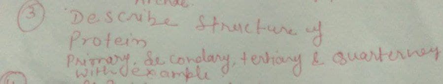 PAIT exomple.
'Describe Structure f
Protein
PAITmery de conolany, tenhany & Quarterney
With dexample
