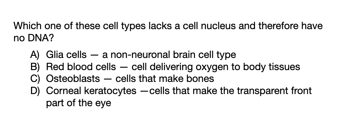Which one of these cell types lacks a cell nucleus and therefore have
no DNA?
A) Glia cells
B) Red blood cells – cell delivering oxygen to body tissues
C) Osteoblasts -
D) Corneal keratocytes – cells that make the transparent front
part of the eye
a non-neuronal brain cell type
-
cells that make bones
