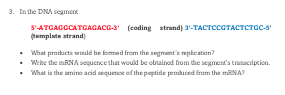 3. In the DNA segment
5'-ATGAGGCATGAGACG-3' (coding strand) 3'-TACTCCGTACTCTGC-5'
(template strand)
• What products would be fomed from the segment's replication?
• Write the MRNA sequence that would be obtained from the segment's transcription.
What is the amino acid sequence of the peptide produced from the mRNA?
