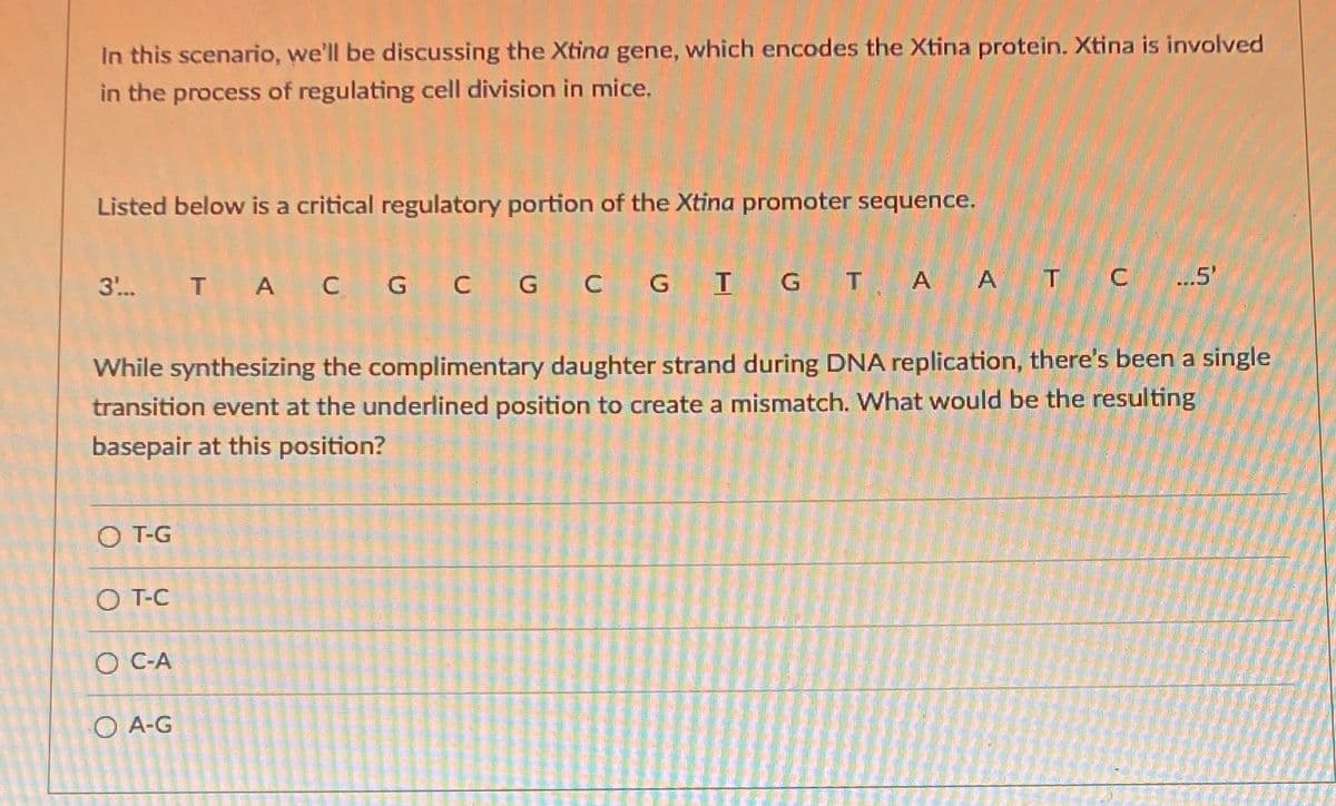In this scenario, we'll be discussing the Xtina gene, which encodes the Xtina protein. Xtina is involved
in the process of regulating cell division in mice.
Listed below is a critical regulatory portion of the Xtina promoter sequence.
3. T A C G C G C G I G T. A A
T C
.5'
While synthesizing the complimentary daughter strand during DNA replication, there's been a single
transition event at the underlined position to create a mismatch. What would be the resulting
basepair at this position?
O T-G
O T-C
O C-A
O A-G
