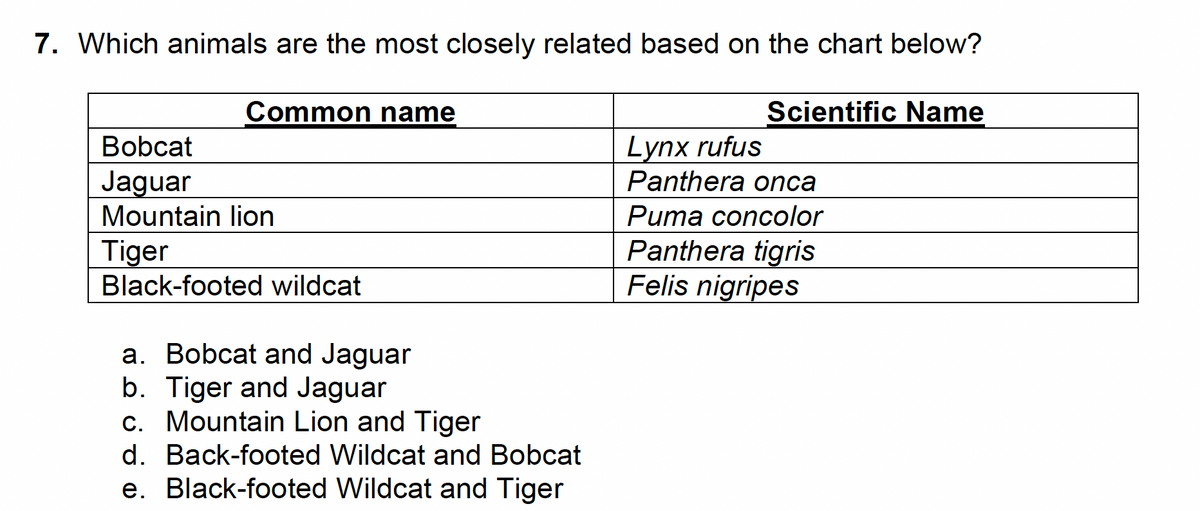 7. Which animals are the most closely related based on the chart below?
Common name
Scientific Name
Lynx rufus
Panthera onca
Bobcat
Jaguar
Mountain lion
Pиmа concolor
Panthera tigris
Felis nigripes
Tiger
Black-footed wildcat
a. Bobcat and Jaguar
b. Tiger and Jaguar
c. Mountain Lion and Tiger
d. Back-footed Wildcat and Bobcat
e. Black-footed Wildcat and Tiger
