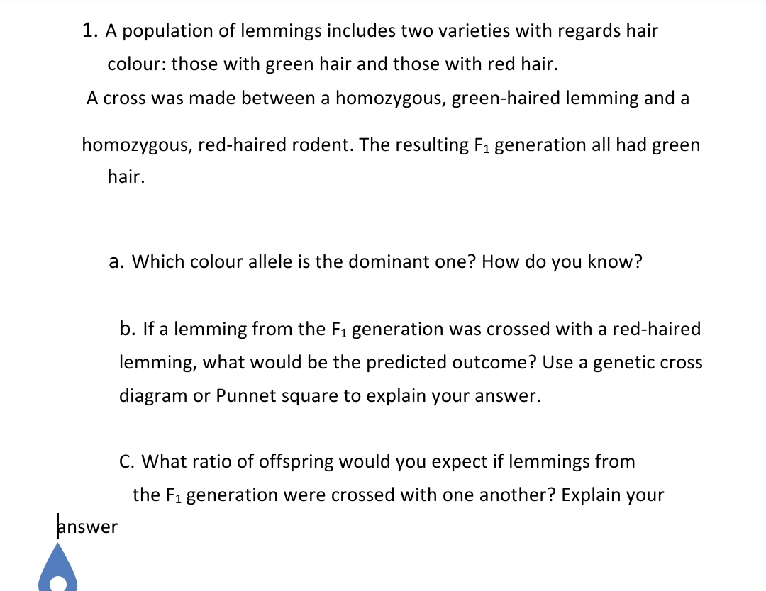 1. A population of lemmings includes two varieties with regards hair
colour: those with green hair and those with red hair.
A cross was made between a homozygous, green-haired lemming and a
homozygous, red-haired rodent. The resulting F₁ generation all had green
hair.
a. Which colour allele is the dominant one? How do
you know?
b. If a lemming from the F₁ generation was crossed with a red-haired
lemming, what would be the predicted outcome? Use a genetic cross
diagram or Punnet square to explain your answer.
C. What ratio of offspring would you expect if lemmings from
the F₁ generation were crossed with one another? Explain your
answer