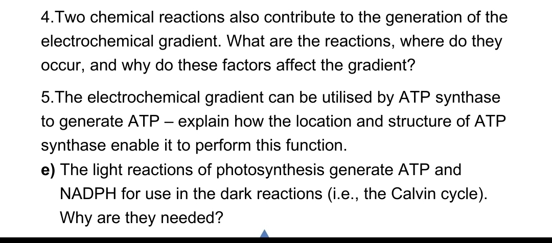 4. Two chemical reactions also contribute to the generation of the
electrochemical gradient. What are the reactions, where do they
occur, and why do these factors affect the gradient?
5. The electrochemical gradient can be utilised by ATP synthase
to generate ATP - explain how the location and structure of ATP
synthase enable it to perform this function.
e) The light reactions of photosynthesis generate ATP and
NADPH for use in the dark reactions (i.e., the Calvin cycle).
Why are they needed?