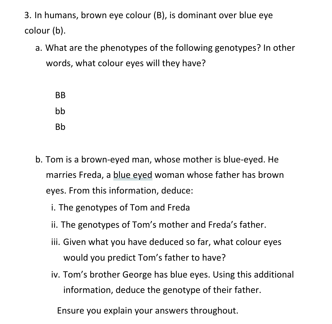 3. In humans, brown eye colour (B), is dominant over blue eye
colour (b).
a. What are the phenotypes of the following genotypes? In other
words, what colour eyes will they have?
BB
bb
Bb
b. Tom is a brown-eyed man, whose mother is blue-eyed. He
marries Freda, a blue eyed woman whose father has brown
eyes. From this information, deduce:
i. The genotypes of Tom and Freda
ii. The genotypes of Tom's mother and Freda's father.
iii. Given what you have deduced so far, what colour eyes
would you predict Tom's father to have?
iv. Tom's brother George has blue eyes. Using this additional
information, deduce the genotype of their father.
Ensure you explain your answers throughout.