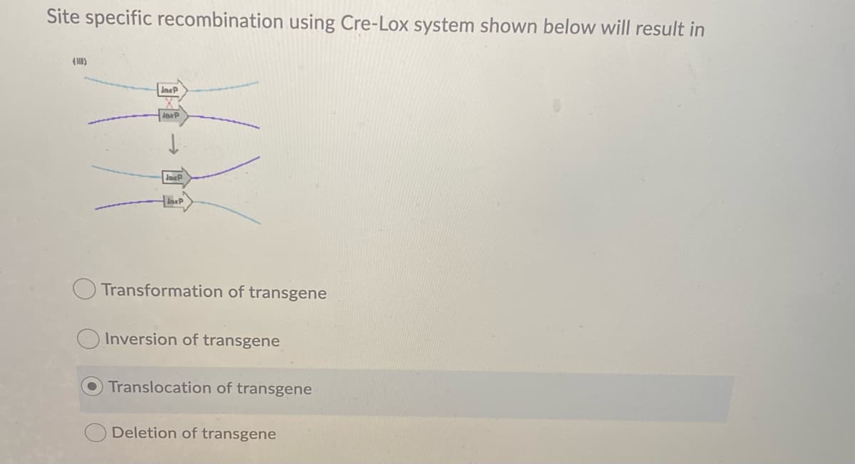 Site specific recombination using Cre-Lox system shown below will result in
InxP
JoxP
Transformation of transgene
Inversion of transgene
Translocation of transgene
Deletion of transgene
