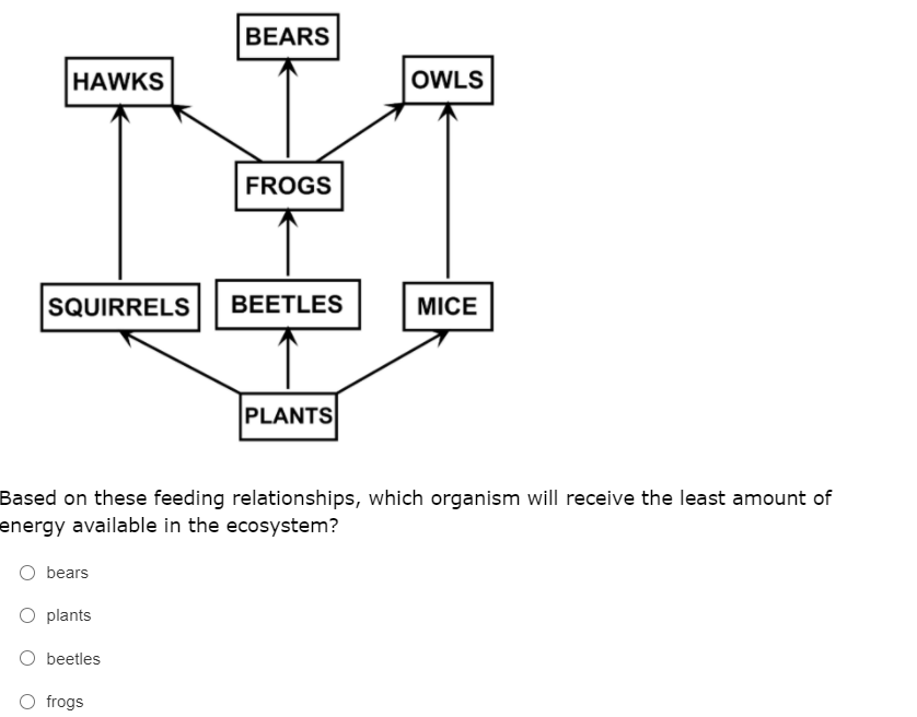 BEARS
HAWKS
OWLS
FROGS
SQUIRRELS
BEETLES
MICE
PLANTS
Based on these feeding relationships, which organism will receive the least amount of
energy available in the ecosystem?
O bears
O plants
O beetles
O frogs
