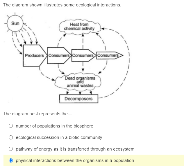 The diagram shown illustrates some ecological interactions.
Sun
Heat from
chemical activity
Producers Consumers Consumers Consumers
Dead organisms
and
animal wastes
Decomposers
The diagram best represents the-
O number of populations in the biosphere
O ecological succession in a biotic community
O pathway of energy as it is transferred through an ecosystem
physical interactions between the organisms in a population
