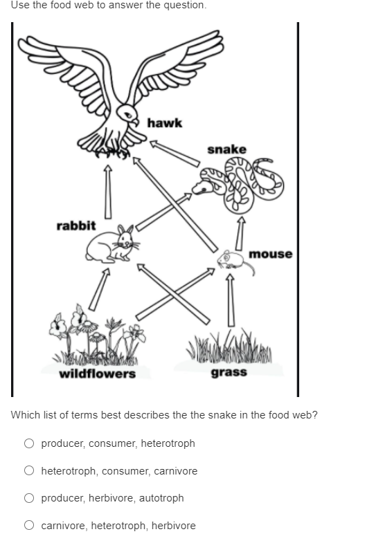 Use the food web to answer the question.
hawk
snake
rabbit
mouse
wildflowers
grass
Which list of terms best describes the the snake in the food web?
O producer, consumer, heterotroph
O heterotroph, consumer, carnivore
O producer, herbivore, autotroph
O carnivore, heterotroph, herbivore
