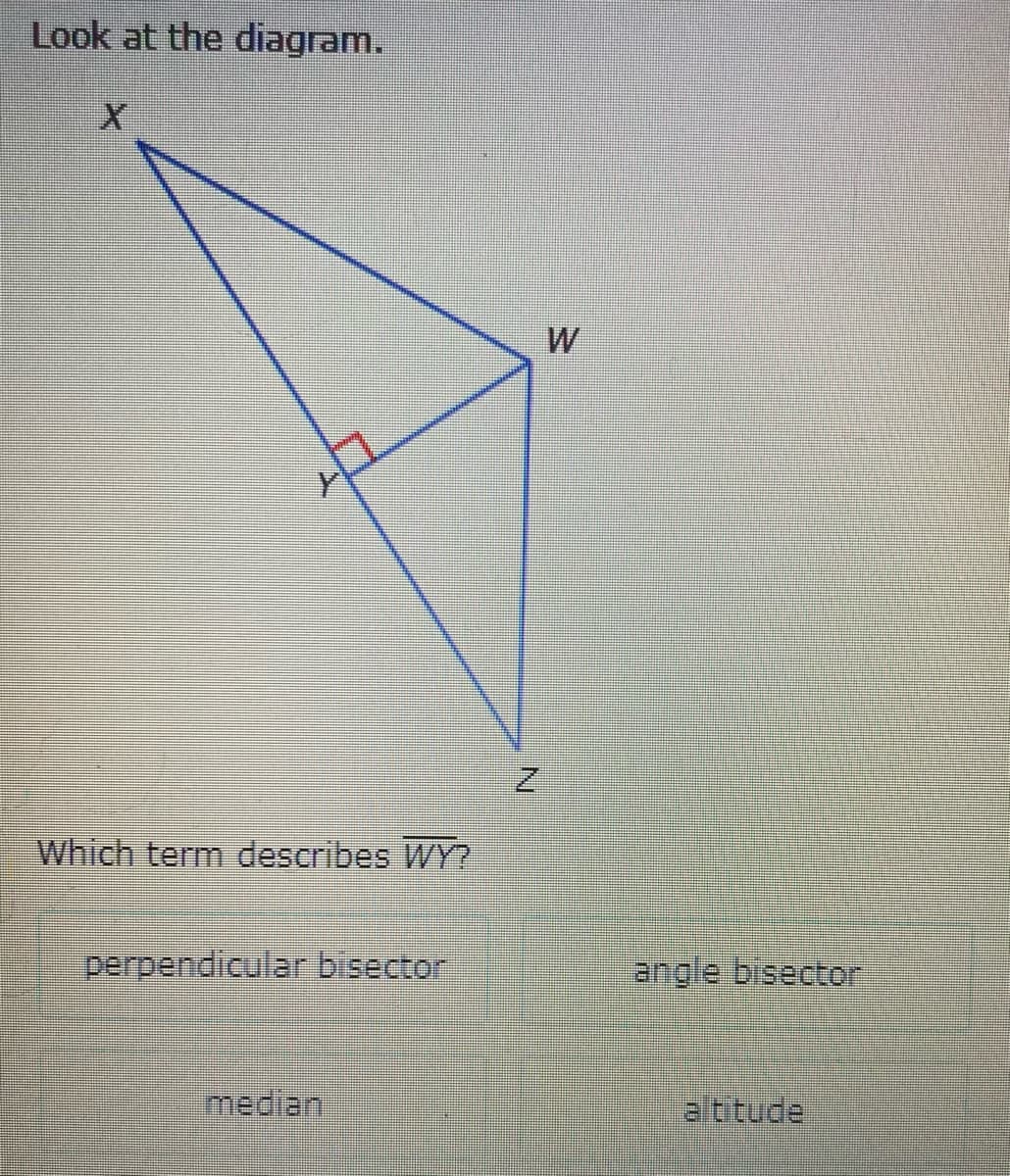 Look at the diagram.
Which term describes WY?
perpendicular bisector
angle bisector
median
altitude
