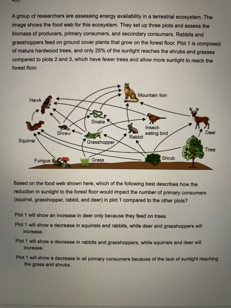 A group of researchers are assessing energy availability in a terrestrial ecosystem. The
image shows the food web for this ecosystem. They set up three plots and assess the
biomass of producers, primary consumers, and secondary consumers. Rabbits and
grasshoppers feed on ground cover plants that grow on the forest floor. Plot 1 is composed
of mature hardwood trees, and only 25% of the sunlight reaches the shrubs and grasses
compared to plots 2 and 3, which have fewer trees and allow more sunlight to reach the
forest floor.
Mountain lion
Hawk
Snake K
Insect-
Shrew
eating bird
Deer
Rabbit
Squirrel
Grasshopper
Tree
Fungus
Grass
Shrub
Based on the food web shown here, which of the following best describes how the
reduction in sunlight to the forest floor would impact the number of primary consumers
(squirrel, grasshopper, rabbit, and deer) in plot 1 compared to the other plots?
Plot 1 will show an increase in deer only because they feed on trees.
Plot 1 will showa decrease in squirrels and rabbits, while deer and grasshoppers will
increase.
Plot 1 will show a decrease in rabbits and grasshoppers, while squirrels and deer will
increase.
Plot 1 will show a decrease in all primary consumers because of the lack of sunlight reaching
the grass and shrubs.
