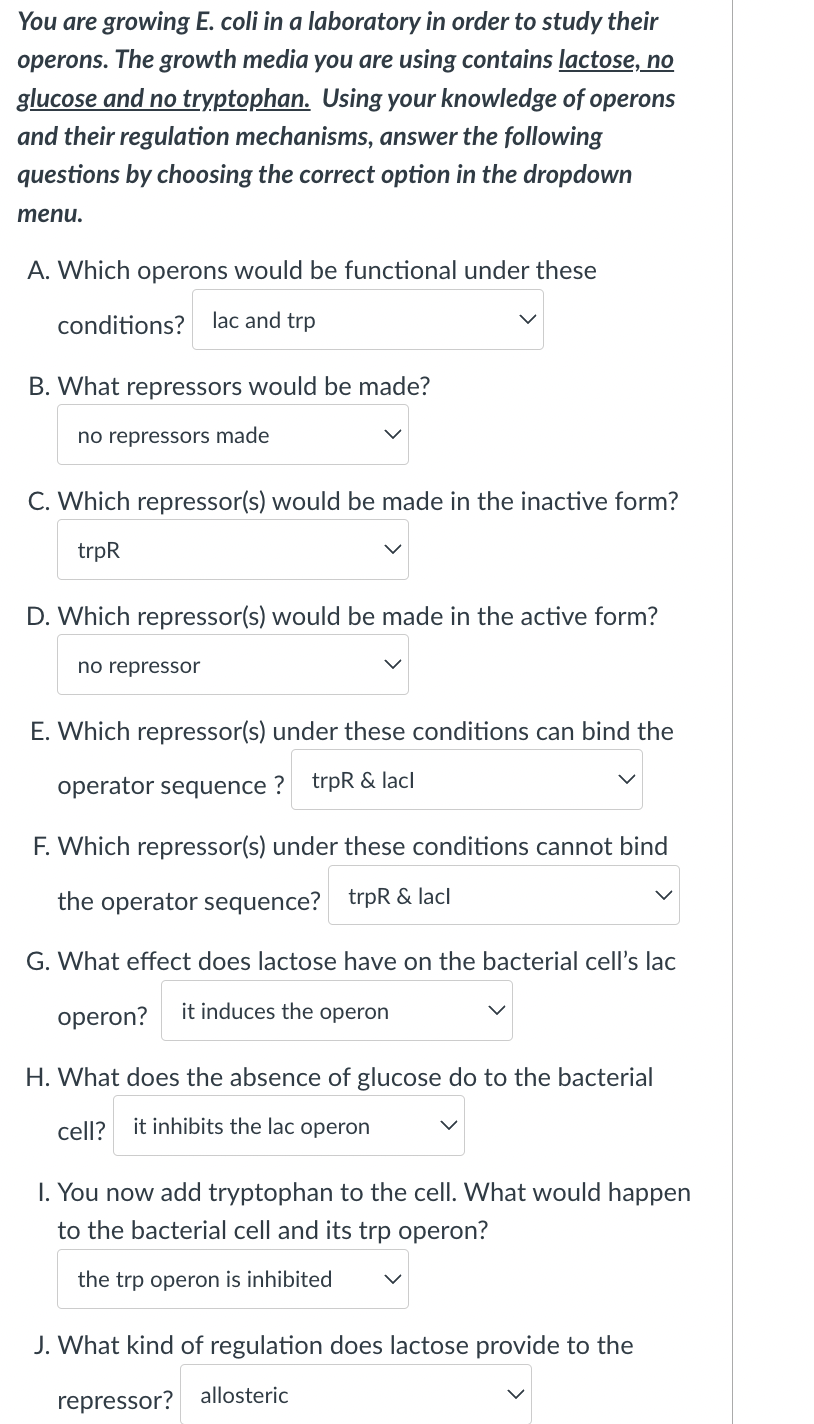 You are growing E. coli in a laboratory in order to study their
operons. The growth media you are using contains lactose, no
glucose and no tryptophan. Using your knowledge of operons
and their regulation mechanisms, answer the following
questions by choosing the correct option in the dropdown
menu.
A. Which operons would be functional under these
conditions?
lac and trp
B. What repressors would be made?
no repressors made
C. Which repressor(s) would be made in the inactive form?
trpR
D. Which repressor(s) would be made in the active form?
no repressor
E. Which repressor(s) under these conditions can bind the
operator sequence ?
trpR & lacl
F. Which repressor(s) under these conditions cannot bind
the operator sequence? trpR & lacl
G. What effect does lactose have on the bacterial cell's lac
operon?
it induces the operon
H. What does the absence of glucose do to the bacterial
cell? it inhibits the lac operon
I. You now add tryptophan to the cell. What would happen
to the bacterial cell and its trp operon?
the trp operon is inhibited
J. What kind of regulation does lactose provide to the
repressor? allosteric

