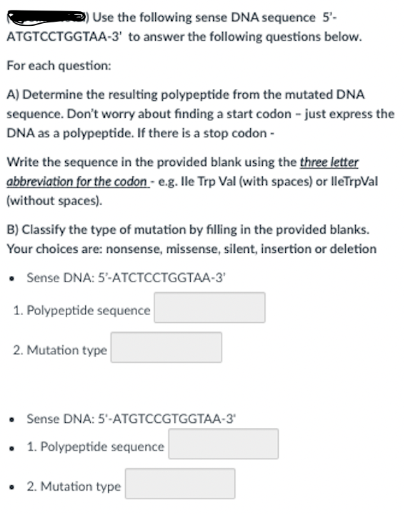 Use the following sense DNA sequence 5'-
ATGTCCTGGTAA-3' to answer the following questions below.
For each question:
A) Determine the resulting polypeptide from the mutated DNA
sequence. Don't worry about finding a start codon - just express the
DNA as a polypeptide. If there is a stop codon -
Write the sequence in the provided blank using the three letter
abbreviation for the codon - e.g. Ile Trp Val (with spaces) or lleTrpVal
(without spaces).
B) Classify the type of mutation by filling in the provided blanks.
Your choices are: nonsense, missense, silent, insertion or deletion
• Sense DNA: 5'-ATCTCCTGGTAA-3'
1. Polypeptide sequence
2. Mutation type
• Sense DNA: 5'-ATGTCCGTGGTAA-3'
1. Polypeptide sequence
• 2. Mutation type

