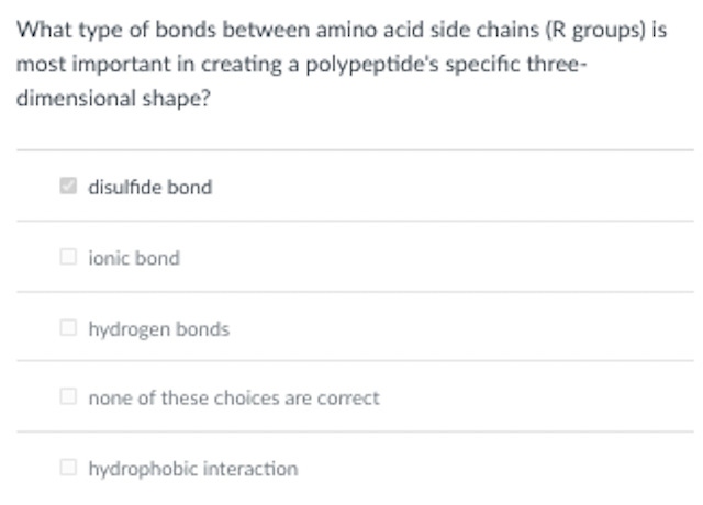 What type of bonds between amino acid side chains (R groups) is
most important in creating a polypeptide's specific three-
dimensional shape?
disulfide bond
O ionic bond
O hydrogen bonds
O none of these choices are correct
O hydrophobic interaction
