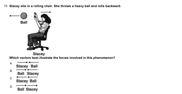 10. Stacey sits in a rolling chair. She throws a heavy ball and rolls backward.
Ball
Stacey
Which vectors best illustrate the forces involved in this phenomenon?
A
Stacey Ball
В.
Ball Stacey
С.
Stacey Ball
D.
Ball Stacey
