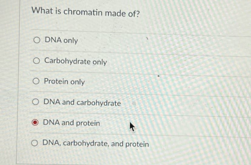 What is chromatin made of?
O DNA only
O Carbohydrate only
O Protein only
O DNA and carbohydrate
O DNA and protein
O DNA, carbohydrate, and protein
