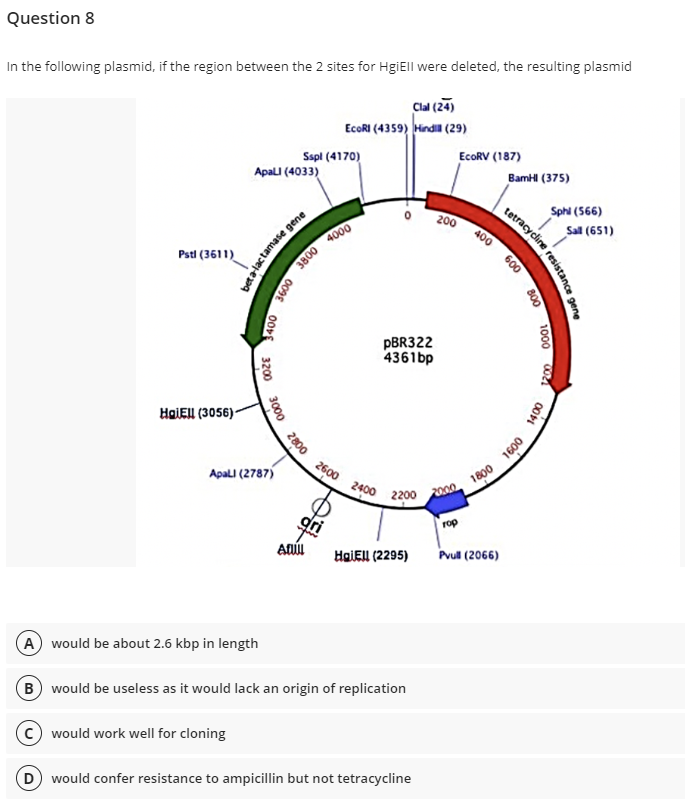 Question 8
In the following plasmid, if the region between the 2 sites for HgiEll were deleted, the resulting plasmid
Clal (24)
EcoRI (4359) Hindi (29)
Sspl (4170)
EcoRV (187)
Apall (4033)
BamHI (375)
0
4000
pBR322
4361bp
Pstl (3611)
HaiEll (3056)-
400
3200
3000 2800
Apall (2787)
3800
eta-lactamase gene
0096
2600
2400 2200
HalEll (2295)
(A) would be about 2.6 kbp in length
B would be useless as it would lack an origin of replication
C would work well for cloning
(D) would confer resistance to ampicillin but not tetracycline
gri
Afull
200
400
600
tetracycline resistan
800
1800 1600
2000
rop
Pvull (2066)
1000
1400
Sphi (566)
12.00
Sall (651)