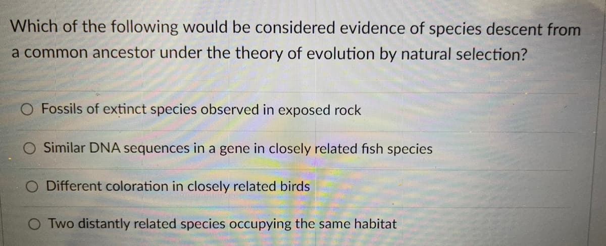 Which of the following would be considered evidence of species descent from
a common ancestor under the theory of evolution by natural selection?
O Fossils of extinct species observed in exposed rock
Similar DNA sequences in a gene in closely related fish species
Different coloration in closely related birds
O Two distantly related species occupying the same habitat