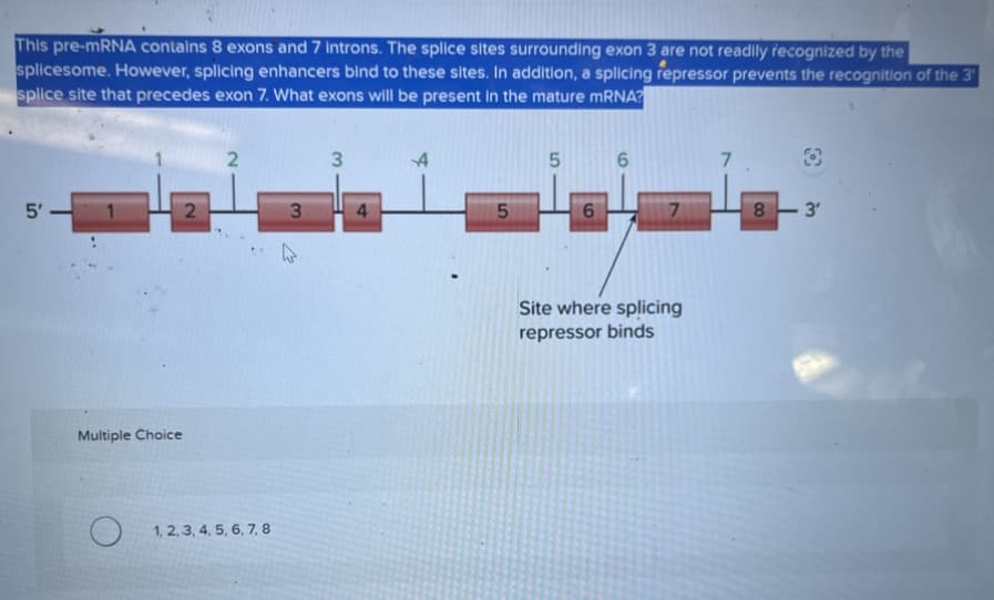 This pre-mRNA contains 8 exons and 7 introns. The splice sites surrounding exon 3 are not readily recognized by the
splicesome. However, splicing enhancers bind to these sites. In addition, a splicing repressor prevents the recognition of the 3¹
splice site that precedes exon 7. What exons will be present in the mature mRNA?
5'
Multiple Choice
2
2
1, 2, 3, 4, 5, 6, 7, 8
3
A
3
4
4
5
5
6
7
Site where splicing
repressor binds
8-3'