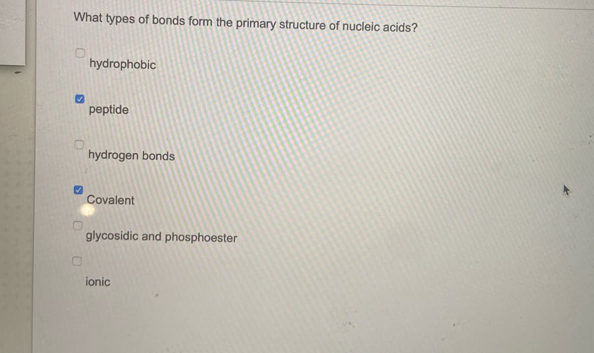 What types of bonds form the primary structure of nucleic acids?
hydrophobic
peptide
hydrogen bonds
Covalent
glycosidic and phosphoester
ionic